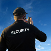security-img